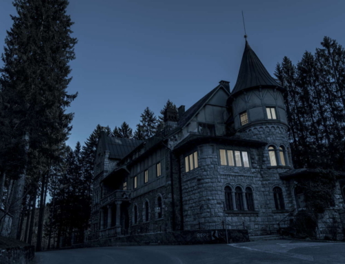 PROJEKT IZRADE IDEJNOG I GLAVNOG PROJEKTA OBNOVE DVORCA STARA SUŠICA